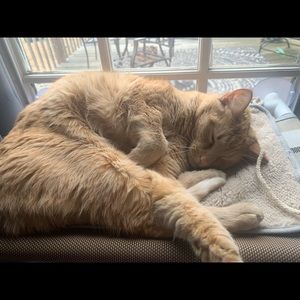 Meet your Posher, Jasmin